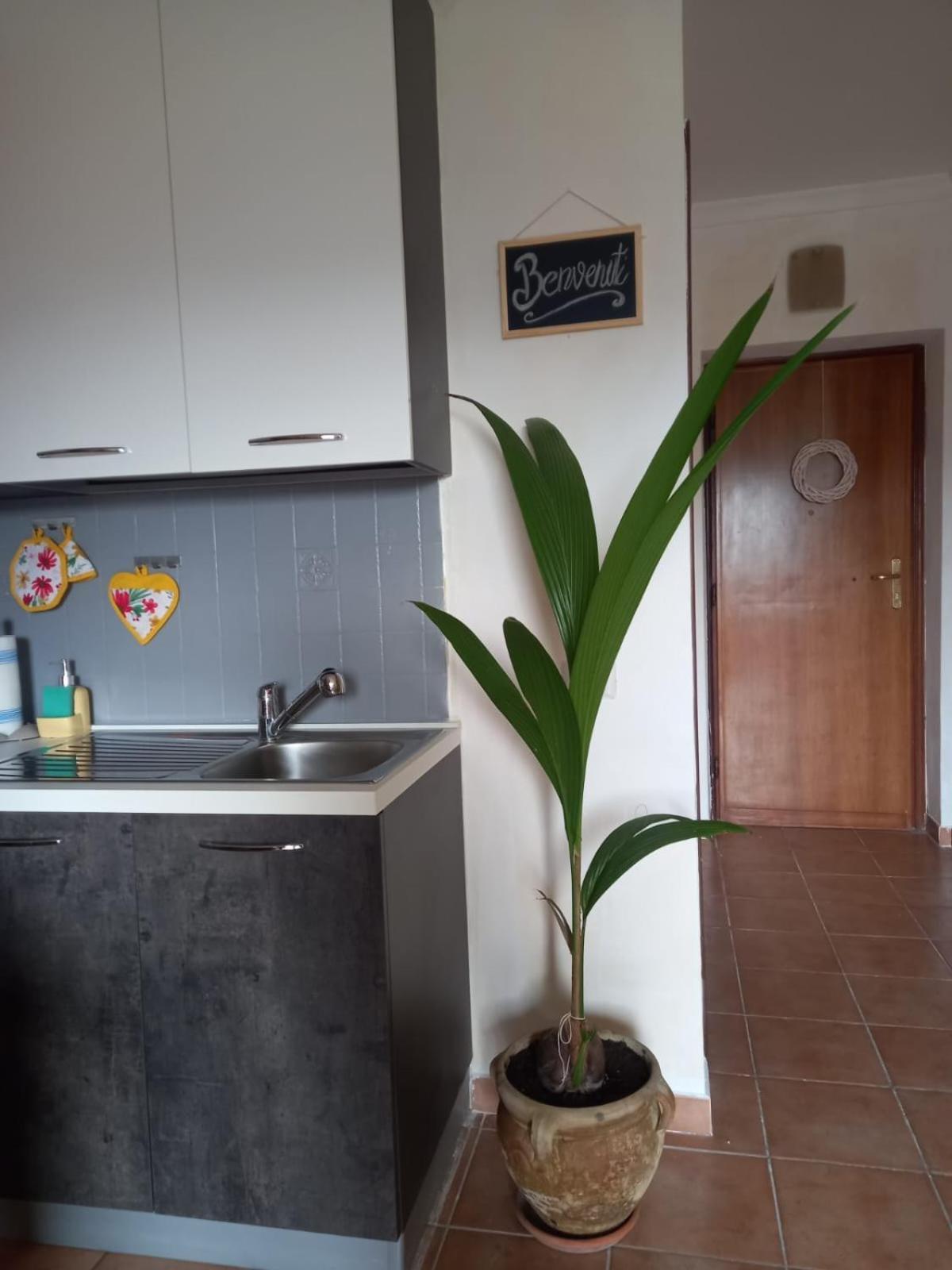 Appartement Antica Fonte à Montefranco Extérieur photo